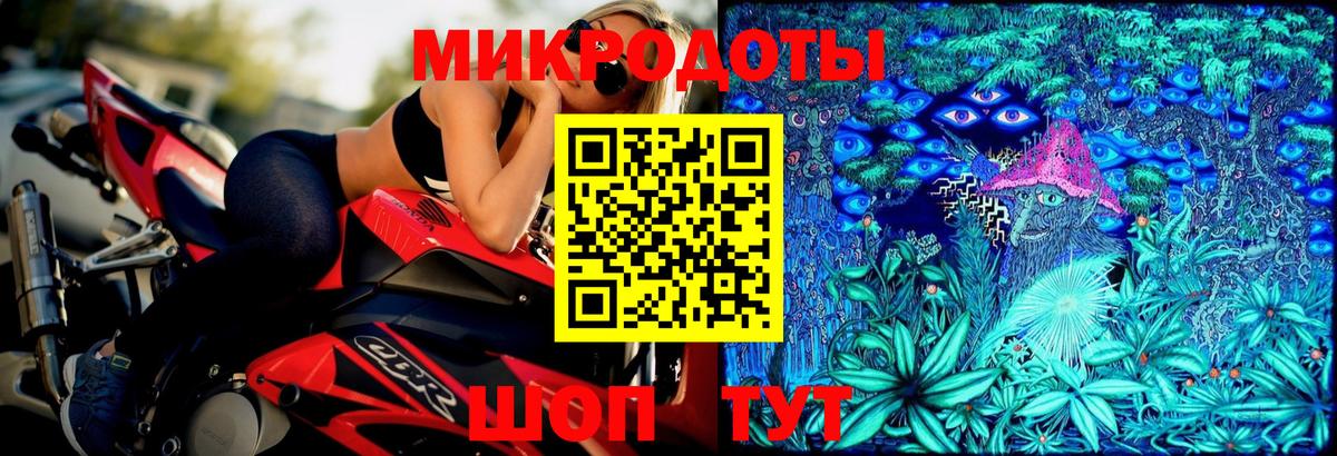 Псилоцибиновые грибы Cubensis Заинск