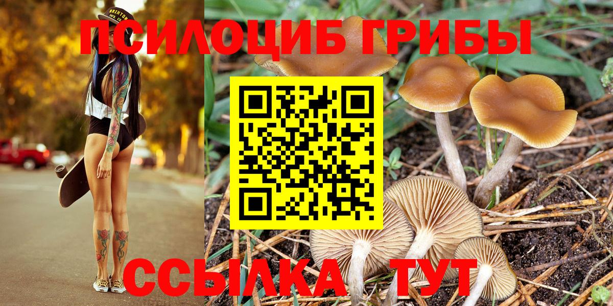 Заинск  купить наркотики цена  Вход с VPN  Галлюциногенные грибы Psilocybe 