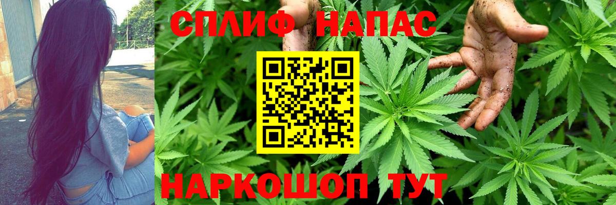 Канабис AK-47  Бошки Шишки AK-47  Вход с VPN  Заинск  Бошки Шишки White Widow 